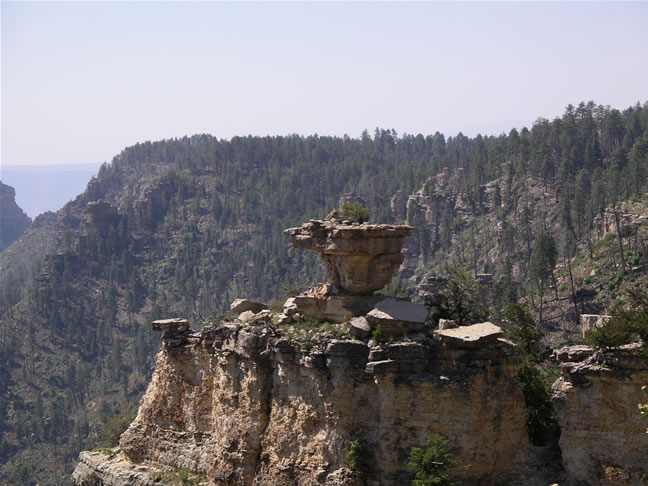 images/Hiking North Rim- Widforss Trail (9).jpg